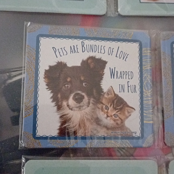 Decor - Picture 4 of 5